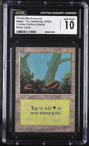 Forest (A) - Rocks (LEA)