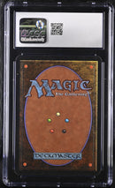 Forest (A) - Rocks (LEA)