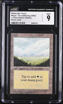 Plains (A) - No Trees (LEA)