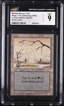 Swamp (B) - High Branch (LEA)