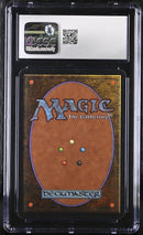 Swamp (B) - High Branch (LEA)