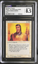 Northern Paladin - Alpha Edition