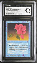 Mana Short - Alpha Edition