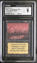 Cursed Land - Beta Edition
