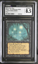 Will-O-The-Wisp - Beta Edition