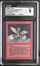 Dragon Whelp - Beta Edition