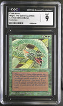 Craw Wurm - Beta Edition