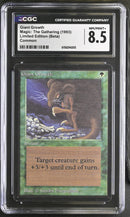 Giant Growth - Beta Edition