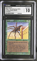 Giant Spider - Beta Edition