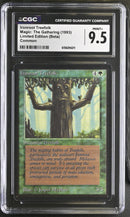 Ironroot Treefolk - Beta Edition