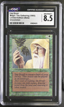 Ley Druid - Beta Edition
