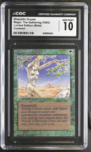Shanodin Dryads - Beta Edition