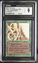 Wall of Brambles - Beta Edition