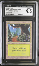 Forest (B) - Path - Beta Edition