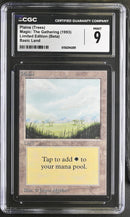 Plains (B) - Trees - Beta Edition
