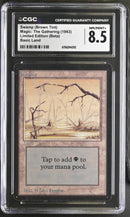 Swamp (B) - High Branch - Beta Edition