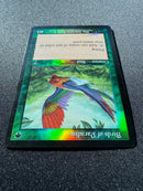 Birds of  Paradise (7ED)