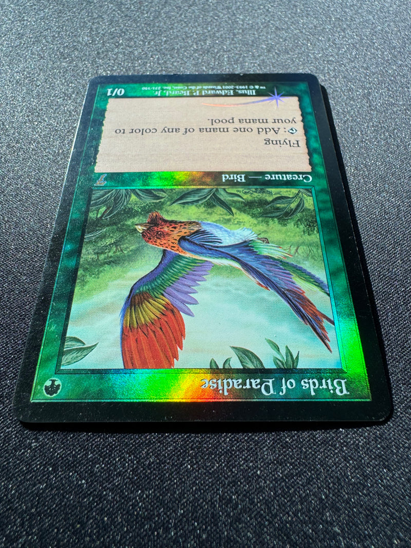 Birds of  Paradise (7ED)