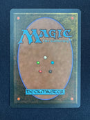 Tropical Island (FBB)