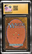 Royal Assassin (SUMMER)