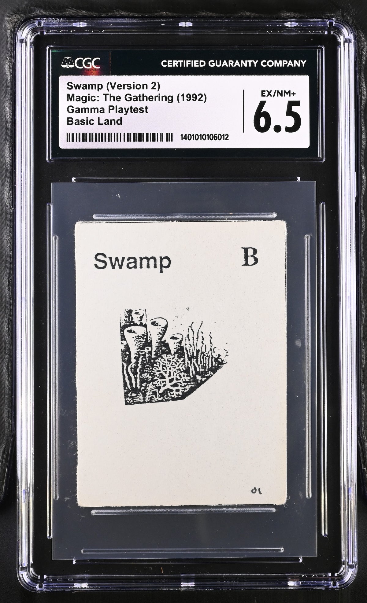 Swamp v.2