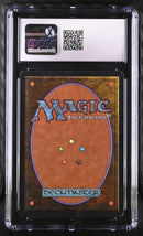 Stone-Throwing Devils (dark) (ARN)