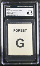 Forest (Epsilon Playtest)