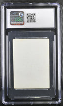 Swamp v.2 (Gamma Playtest)