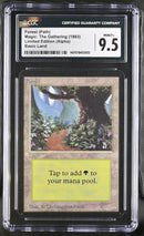 Forest (B) - Path (LEA)