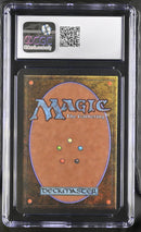 Forest (B) - Path (LEA)