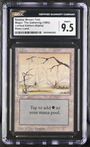 Swamp (B) - High Branch - Alpha Edition