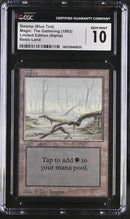 Swamp (A) - Low Branch - Alpha Edition