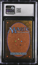 Swamp (B) - High Branch - Alpha Edition