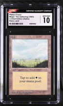 Plains (B) - Trees (LEA)