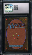 Swamp (B) - High Branch (LEA)