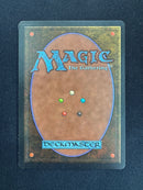 Ali from Cairo (ARN)