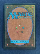 Mirror Universe (LEG)