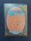 Tropical Island (REV)