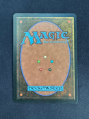 Tropical Island (FBB)