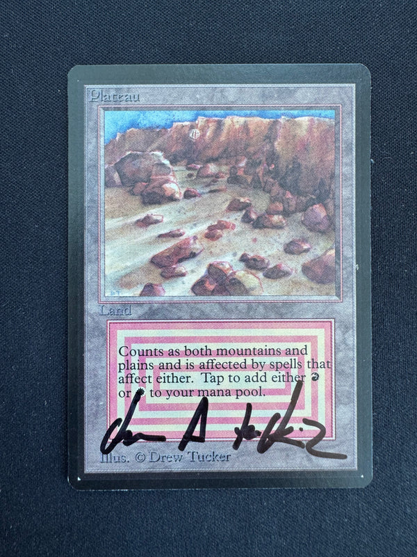 #condition_mint:auto:(2)