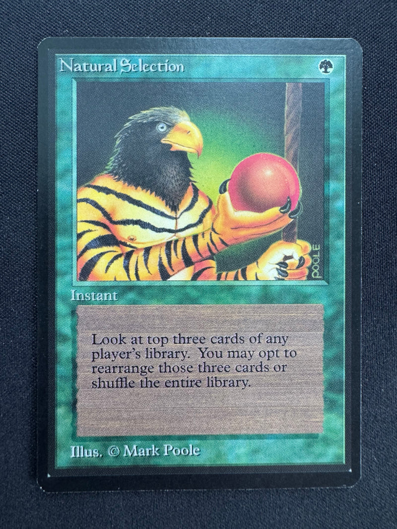 Natural Selection (LEB)