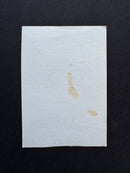 Moorish Cavalry (Arabian Nights Playtest)