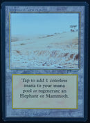 Elephant Graveyard - Arabian Nights