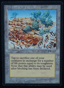 Diamond Valley - Arabian Nights