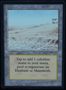 Elephant Graveyard - Arabian Nights