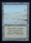 Elephant Graveyard - Arabian Nights