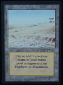 Elephant Graveyard - Arabian Nights