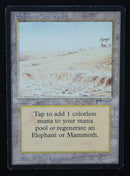 Elephant Graveyard - Arabian Nights