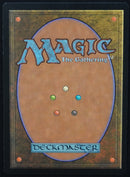Rhystic Study Foil - Prophecy