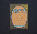 Verdant Catacombs - Masterpiece Series: Zendikar Expeditions